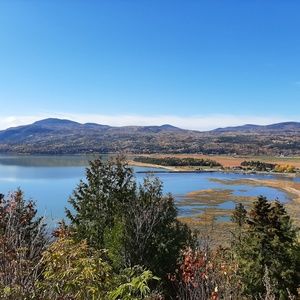 Meet your Posher, Salamander